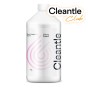 cleantle-citrus-foam-1l-club_big.jpg