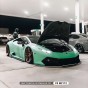 c3-m2112-matte-metallic-emerald-pet-lamborghini-1_big.jpg