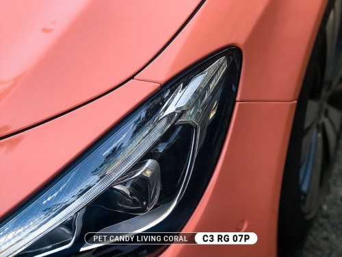 c3-rg-07p-pet-candy-living-coral-mercedes-2_big.jpg