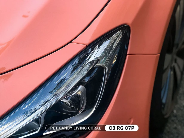 c3-rg-07p-pet-candy-living-coral-mercedes-2_big.jpg