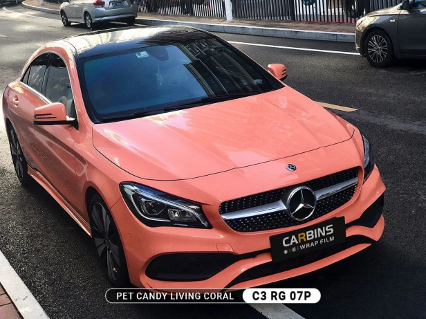 c3-rg-07p-pet-candy-living-coral-mercedes-1_big.jpg